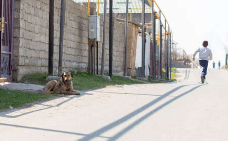 The boy ran away from the dogの写真素材