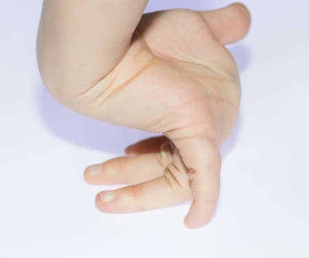 flexible human fingers on a white backgroundの写真素材