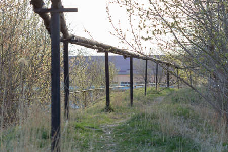 A pipeline above the ground that conducts heat to heat a city.の写真素材