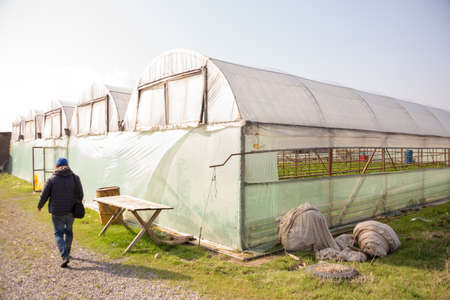 Photo of a typical greenhouse outdoorsの写真素材