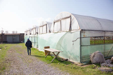 Photo of a typical greenhouse outdoorsの写真素材