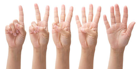 hands from one to five on a white background, set number 1 2 3 4 5 with handの写真素材