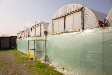 Photo of a typical greenhouse outdoorsの写真素材