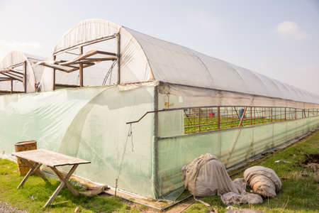 Photo of a typical greenhouse outdoorsの写真素材