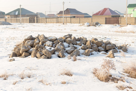 A group of sheep on the farm in the morning, the domestic animals go to the pasture.の写真素材