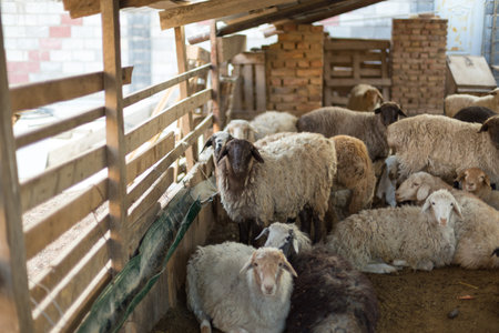 a drop of water from the rain on a muddy lawnの写真素材