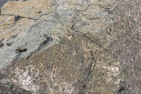 beautiful mountain stone quarry on the passの写真素材