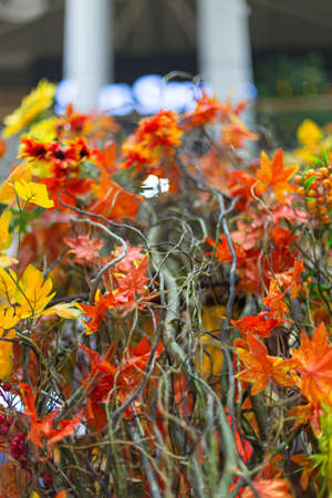 artificial decorative different flowers, beautiful backgroundの写真素材