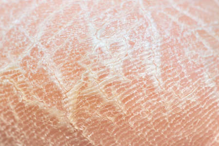 Yeast dough in blue plastic bowl on whiteの写真素材