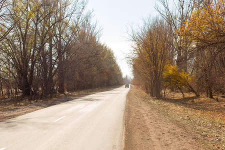 asphalt road surrounded by trees on a sunny autumn dayの写真素材