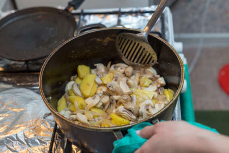 fry mushrooms in a panの写真素材