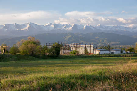 Grass field landscape at sunriseの写真素材