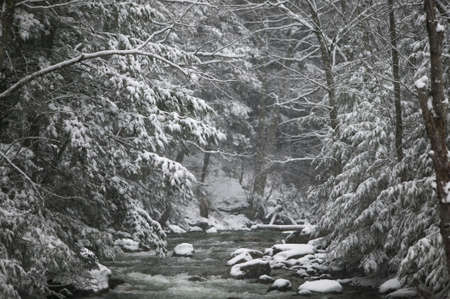 River running through snow covered trees, Stowe, Vermont, USA