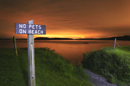 Light painted technique of  No Pets on Beach  sign at night in Maine, USAの写真素材