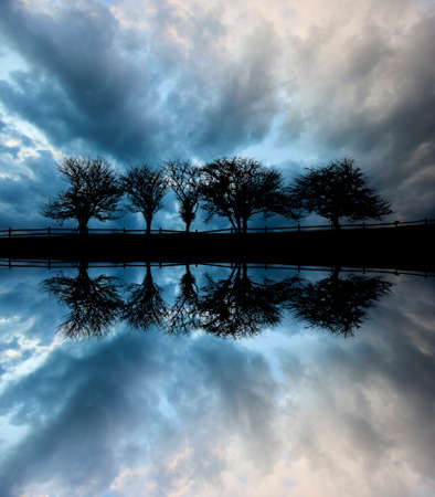 Digially manipulated mirrored image of five trees along a roadway silhouetted against stormy clouds, Stowe Vermont, USAの写真素材