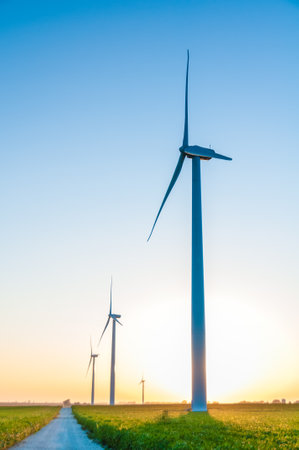 A corn field with large wind turbines against a blue sky at sunset, Dexter, Minnesota, USA