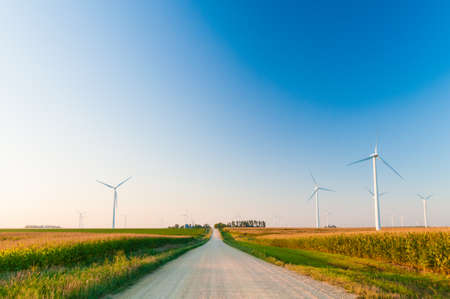 A corn field with large wind turbines against a blue sky at sunset, Dexter, Minnesota, USAの写真素材