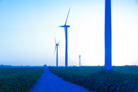 A corn field with large wind turbines against a blue sky at sunset, Dexter, Minnesota, USAの写真素材