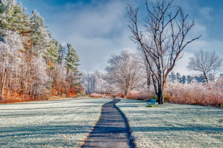 Stowe Recreation Path on a cold frosty autumn morning in Stowe Vermont USAの写真素材