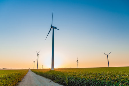 A corn field with large wind turbines against a blue sky at sunset, Dexter, Minnesota, USAの写真素材