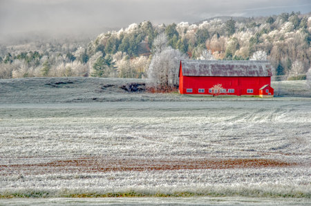 Red barn on a frosty autumn morning in the New England town of Stowe Vermont USAの写真素材