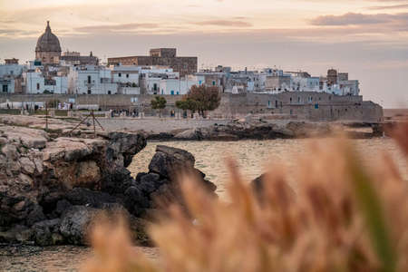 MONOPOLY. JULY 2021. GLIMPSES AND PANORAMAのeditorial素材