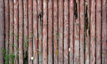 Weathered fence or roof made of old and worn cylindrical woods with some vegetationの写真素材