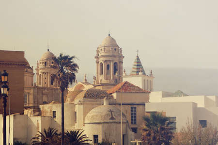 Cityscape of the city of Cadiz in Andalusia with buildings in the background and palm trees during the sunset with a warm light - beautiful postal wallpaperの写真素材