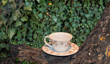 Tea cup empty and clean on tree trunk and plants backgroundの写真素材