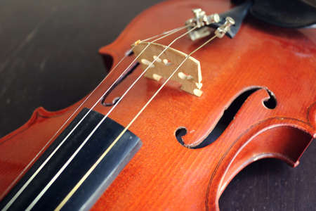 closeup of a violin with strings and beautiful shapes - music symbol for the background of a wallpaperの写真素材