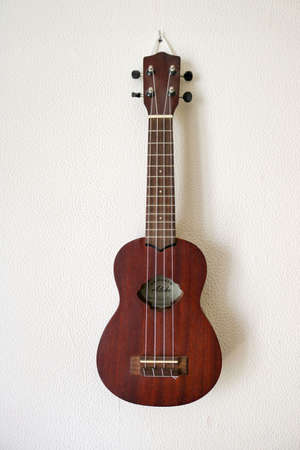 isolated ukulele of wood abreast hanging on a white wall