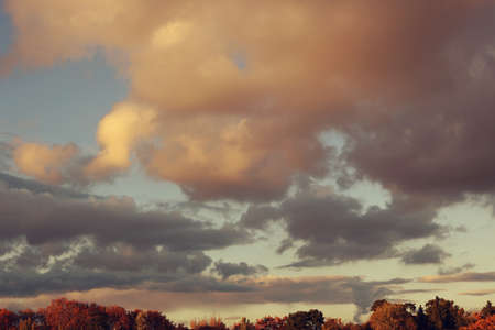colorful clouds like cotton with yellow, orange and gray tones, in a light blue sky over a forest...