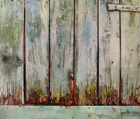 weathered wooden boards with moss and lichens from an abandoned fence - countryside backgroundの写真素材