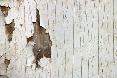 cracked wood texture and peeling white paint with holes on a weathered surface - artistic irregular grooves with beige and fawn tones for the background of a wallpaperの写真素材