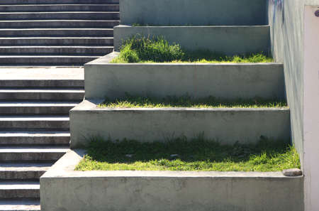 cement stairway with grass planted at different levels of the steps - design for a green, clean and ecological urban garden in the cityの写真素材