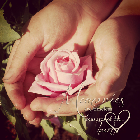 instagram of dirty garden hands holding rose with quoteの写真素材