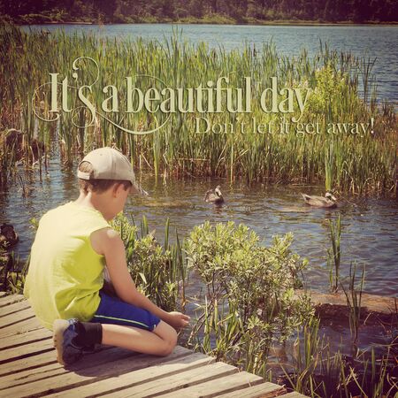 young boy feeding ducks  at summertime with quoteの写真素材
