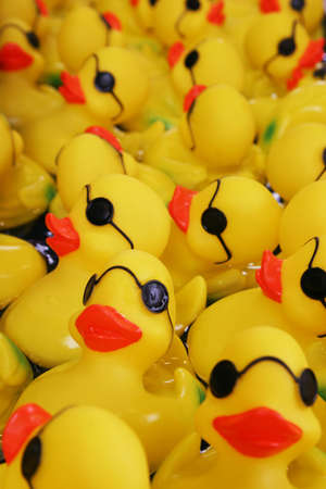 rubber duckiesの写真素材