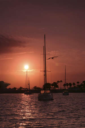 Sailboat at sunriseの写真素材