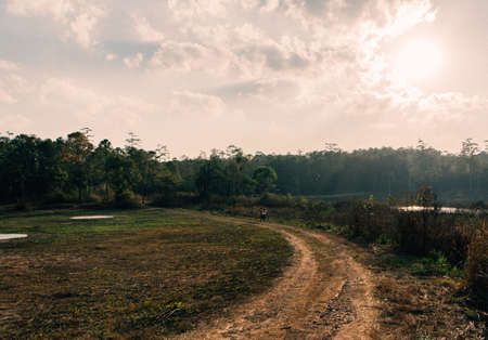 Street is as a leading line into the wood .の写真素材