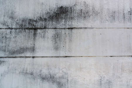 Take a old cement wall to be a background.