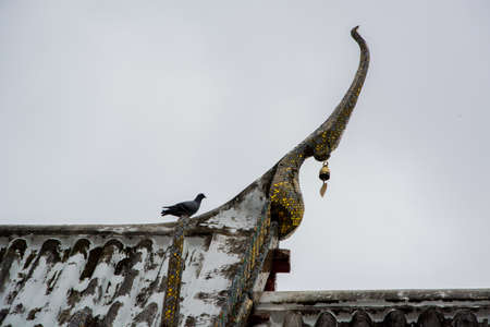 Point of the roof's temple.の写真素材