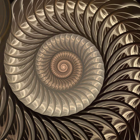 Abstract fractal spiral. Shell background, Spiral symmetry Fibonacci shell section. Half cross,...