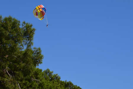 Recreational parakiting background - silhouetes of man under parachuting canopy towed behind a boat. Parasailing in the sky above the Mediterranean sea. Parasailing in summer above the trees.のeditorial素材