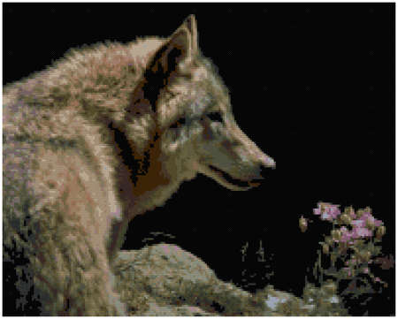 Portrait of a wolf. Illustration of cross stitch embroidery. Imitation of knitted canvas structure....