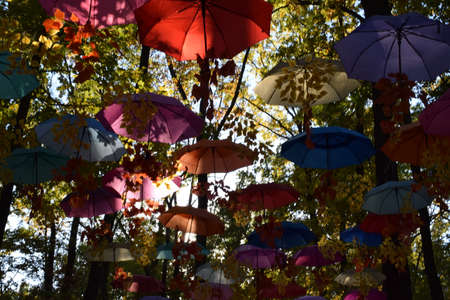 Kharkov, Ukraine, October 6, 2021. Colorful umbrellas suspended high, decoration of the forest park. Colored umbrellas suspended in the airのeditorial素材