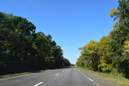 Country Road Landscape In Summer. Empty road asphalt and green tea plantation nature landscape.