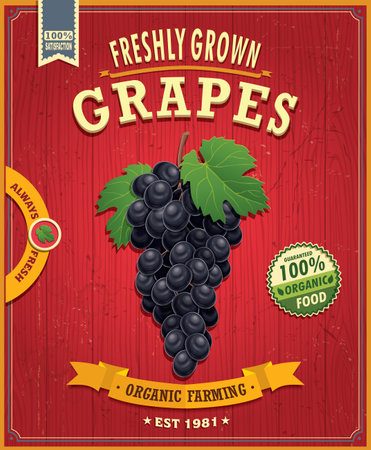 Vintage farm fresh grapes designのイラスト素材