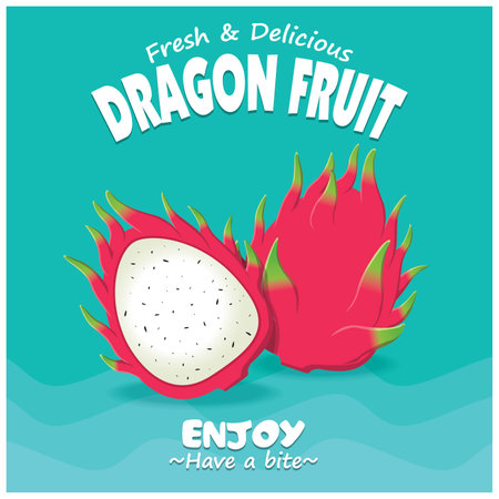 Vintage fruit poster design with vector dragon fruit.のイラスト素材