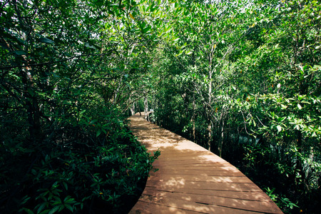 Railay, Krabiの写真素材